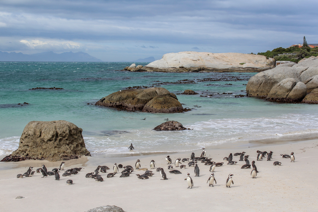 Boulders Beach
